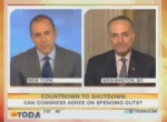 Lauer Lobs Softballs at Schumer